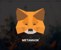 MetaMask Download Tumblr.webp